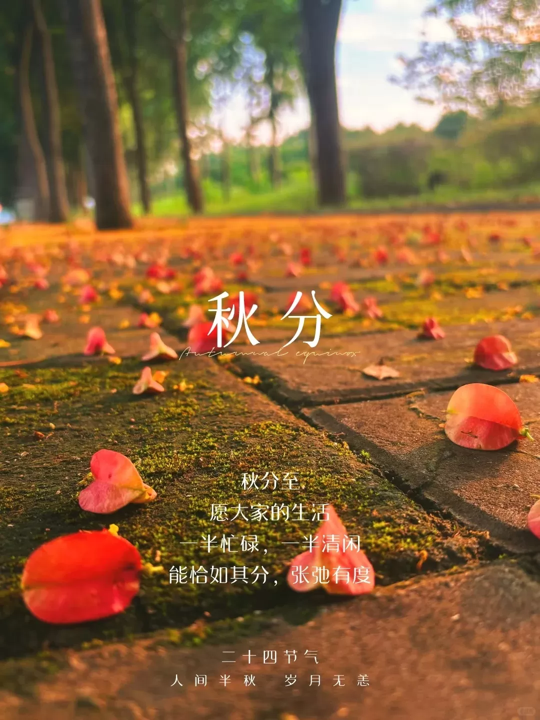 24节气_秋分海报文案_挑一句去发朋友圈吧_1_晴麻美学设计_来自小红书网页版.jpg 24节气_秋分海报文案_挑一句去发朋友圈吧_1_晴麻美学设计_来自小红书网页版.jpg