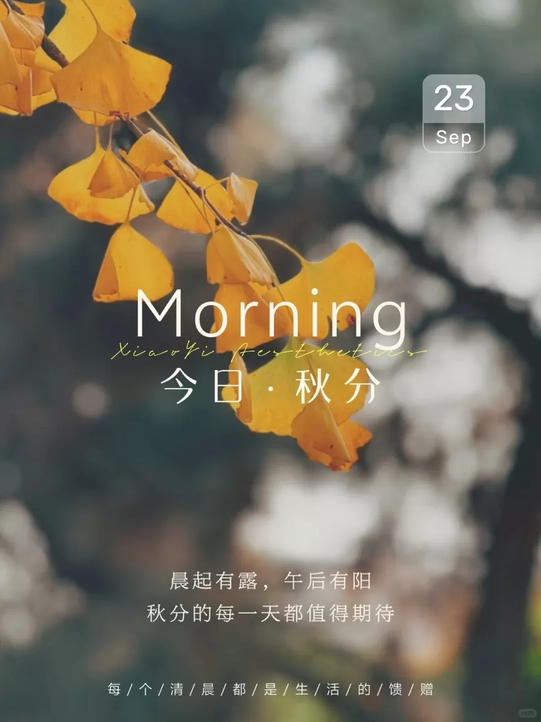 今日秋分｜朋友圈这样发很高级🤩_1_小仪子｜朋友圈美学设计_来自小红书网页版.jpg